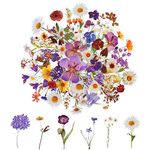 120Pcs Flower Stickers for Scrapbooking,Natural Flowers Aesthetic Scrapbook Stickers, Transparent Floral Stickers Set for Scrapbook Supplies,Craft, Card, Laptop, (60 Styles)