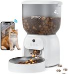 LAMPICK Automatic Cat Feeder with C