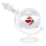 Weather Forecast Bottle, Red Rose Globe Crystal Decoration Ball Water Shape Windstorm Temperature Chan Detection Glass for Holiday Wedding Home Decor(18cm/7.1in(H)),Weather Stations