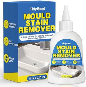 Mould Remo