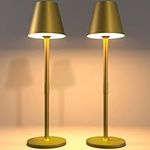 Timjorman LED CordlessTable Lamp,40