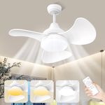 Biukis White Ceiling Fan with Light: 22 inch Ceiling Fan and Remote Control 6 Speed Remote Noiseless DC Motor for Bedroom Kitchen Patio