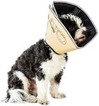 All Four Paws Comfy Cone Pet Cone f