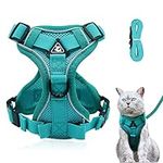 Cat Harness and Lead Set, Adjustable Kitten Harness and Lead Set with Reflective Strips Escape-Proof, Cat Vest Harness with Leash Sets for Cats Dogs Pets Walking (Lake blue, M)