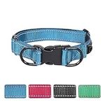 Aepeasti Reflective Dog Collar with Double D-Ring, Soft Neoprene Padded, Buckle Adjustable Safety Nylon Pet Collars for Large Dogs(Blue)