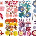 125pcs Dried Pressed Flowers with Butterfly Sticker for Resin Mold,Real Nature Dry Pressing Floral Set for DIY Jewelry Making Nail Card Scrapbook Art Craft Decors Romantic Road Gorgeous