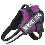 Belababy Soft No Pull Dog Harness X Small, Adjustable Assistance Service Dog Vest with Safety Buckle, Reflective Breathable Outdoor Training Dog Harness（Purple）