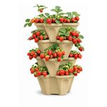 Vertical Garden Planter 4 Tier Stackable System 16 Plants, Space Saving Herb, Strawberry & Food Crop Planter with Center Support Hole for Indoor Outdoor Gardening (4, Desert Sand, Small)