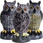 Owl Decoys to Scare Birds Away | Plastic Owls to Scare Birds Away | Owl Statue for Garden & Outdoors by Galashield [Set of 3]