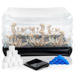 Mushroom Monotub Kit by Surfin’ Spores, Plugs + Filters for Fresh Air Exchange, Inflatable for Easy Storage, Grow Mushrooms at Home with Ease