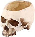 TOPINCN Modern Resin Skull Shaped H