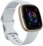 Google Fitbit Sense 2 Advanced Health and Fitness Smartwatch with Tools To Manage Stress and Sleep, Ecg App, Spo2, 24/7 Heart Rate and Gps, Blue Mist/Pale Gold, One Size (S and L Bands Included)