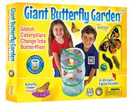 Insect Lore Giant Butterfly Garden Kit (Packaging May Vary)