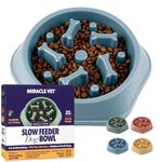 Miracle Vet Slow Feeder Dog Bowls for Fast Eaters - For Small, Medium Sized Dogs - Dog Puzzle Maze Helps Slow Down Eating - Adult, Puppy Food Bowl for Bloat Stop - Non-Slip Dog Slow Feeder Bowl (Blue)