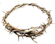 CROWN OF THORNS BETHLEHEM JERUSALEM HOLY LAND aprox 7.5 " diameter Zuluf Store HLG027