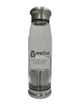 WELLON ANTIOXIDANT ALKALINE High Borosilicate Glass Water Bottle – 650ml (Siver Alkaline Bottle)