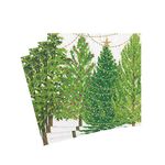 Caspari Christmas Trees with Lights Paper Cocktail Napkins - 20 Per Package