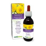 Dandelion (Taraxacum officinale) Roots and Leaves Alcohol-Free Mother Tincture Naturalma - Liquid Extract Drops 120 ml - Food Supplement - Vegan