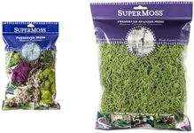 SuperMoss (23310) Moss Mix - Best Sellers, 80.75 Cubic Inch Bag (Appx. 2 Ounce) & (26907) Spanish Moss Preserved, Grass, 4oz, 120 Cubic in Bag (Appx. 4oz) (7 59834 26907 6)