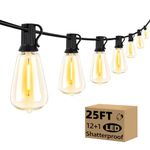 25FT Outdoor String Lights with 12+1 LED Edison Bulbs Dimmable, Waterproof Exterior Patio Lights, Shatterproof Connectable ST38 Hanging Lights for Garden Backyard Balcony Party, 2700K Warm White