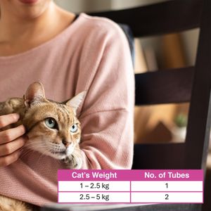 Johnsons Spot On Cat Wormer, 2-Pack – Easy Deworming Treatment