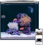 HelloReef 15 Gallon Beginner Clownf