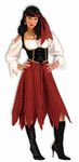 Forum Novelties Women's Pirate Maiden Plus Size Costume, Multi, Standard X-Large (6-22)