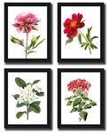 Interio Crafts Botanical Flower Prints, Botanical Framed Poster, Floral Art, Flower Prints For Home and Office Decor (Frame Size 13.5 x10 Inches, Poster Size 12 x8 Inches) - Set of 4