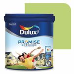 Dulux Promise Exterior Emulsion Paint (1L, Leapfrog) | Ideal for Exterior Walls | Smooth Finish | Anti-Peel & Anti-Crack | Long-Lasting Colors