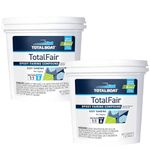 TotalBoat TotalFair Epoxy Fairing Compound for Fibreglass Repair (2 Quart)
