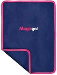 Large Reusable Gel Ice Pack for Max