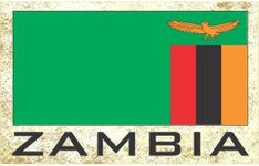 Flag Fridge Refrigerator Magnets - Asia & Africa Grp 4 (1-Pack, Country: Zambia)