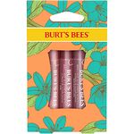 Burt's Bees Lip Colour Gift Set, 3 Lip Shimmers in Peony, Rhubarb and Fig Shades, Petal Kisses, 3 x 2.6 g