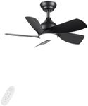 CJOY Black Ceiling Fan, 30 inch Cei
