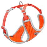 Mesh Harness For Dogs