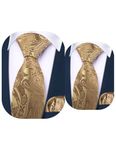 Barry.Wang 2 PACK Ties for Father and Son Fashion Children Tie Men Necktie Jacquard Handkerchief, Gold Silid, One Size