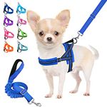 Lukovee Dog Leashes for Small Dogs, Lightweight Soft Small Dog Harness Neck & Chest Adjustable, Reflective Harness Anti-Twis Puppy Harness Vest Harness (XX-Small, Blue)