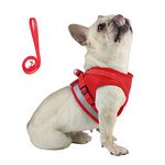 Comfortable Dog Harness