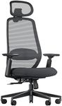 ProtoArc EC200 Ergonomic Office Chair - High Back Computer Desk Chair with 2-Way Adjustable Lumbar Support, Seat Depth & 3D Headrest, Mesh Swivel Desk Chair for Home & Office, Black