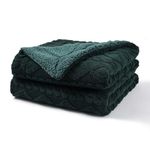 Pagnanno. - Sherpa Teddy Fleece Blanket - Fluffy Double Layered Bed and Sofa Throw - Thick, Warm & Extra Soft - For Families, landlords and Couples (Emerald Green, King (200x240cm))