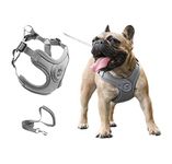 JdotMIN Harness for Dogs and Cats, No Pull Dog Harness Small Medium, Adjustable Reflective Pet Puppy Step in Harnesses Vest, Easy Walk Soft Breathable Padded Dog Leash Set (Grey, M)