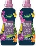 Westland Orchid Water RTU 720ml (Pack of 2)