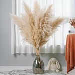 Axmon Natural Dried Pampas Grass 27"/2.25 Feet Tall Dried Pampas Grass Fluffy Stems Plants Floor Vase Filler for Home,Office,Bedroom,Table Corner Decoration – White (Pack of 5)