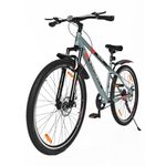CULTSPORT Dauntless 29 inch Single Speed Mountain Bike (Cycle/Bicycle) with Front Suspension and Dual Disc Brake, Cycling Event, Ride Tracking App | Ideal for 15+ Years, Grey