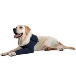 MPS Medical Pet Shirt - TAZ, Single Front Leg Sleeve for Dog, Medium