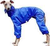 D DOGGY STAR Italian Greyhound Rain