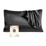 iCooBreeze Silk Pillowcases 100% Mulberry Silk Double Sided, Real Silk Pillow Case for Hair and Skin, Pillow Cover with Hidden Zipper (Black, Queue(20''x30'') 1 Pack)