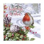 Eurowrap Pack of 12 Assorted Christmas Cards Xmas Traditional Robin, 2 Designs Season Greetings and Christmas Wishes Eco Friendly Packaging 100% Recyclable