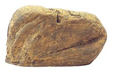 Hagen Exo Terra Reptile Den, Large