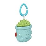 Fisher-Price Portable Baby Sound Ma